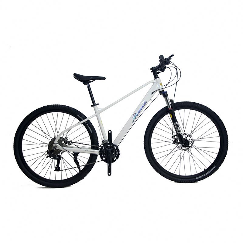 29인치 알루미늄 합금 산악 자전거 21단 변속 듀얼  - Mountain Biking Usa 리뷰 및 가격