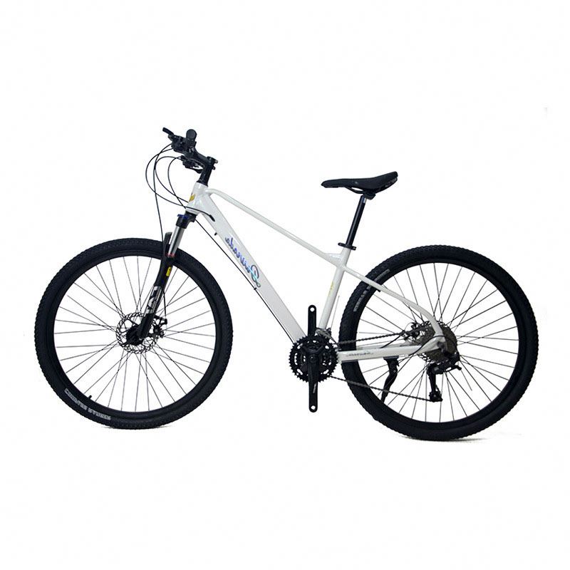 29인치 알루미늄 합금 산악 자전거 21단 변속 듀얼  - Mountain Biking Usa 리뷰 및 가격