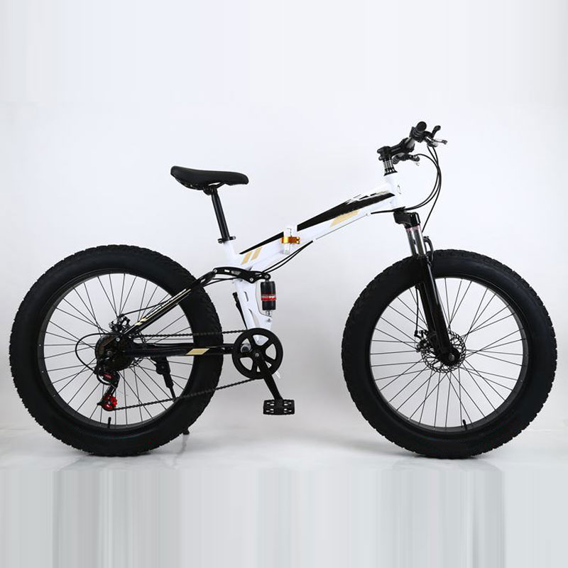 공장 직영 공급 24/26인치 접이식 스노우 산악 자전 - Mountain Biking Usa 리뷰 및 가격