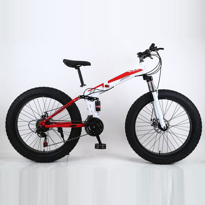 공장 직영 공급 24/26인치 접이식 스노우 산악 자전 - Mountain Biking Usa 리뷰 및 가격