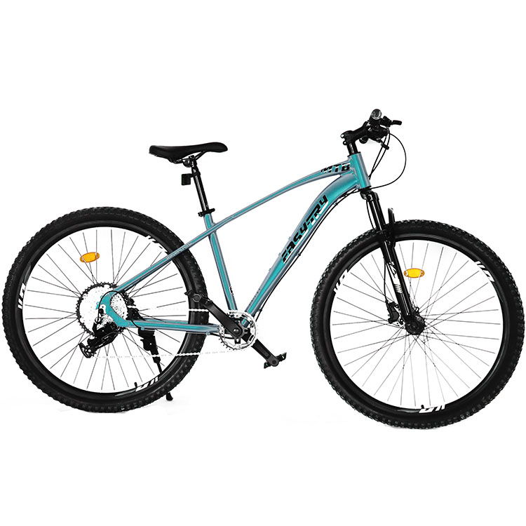제조업체 도매 26/29인치 21단 산악자전거 풀 서스 - Mountain Biking Usa 리뷰 및 가격